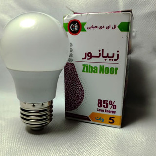 لامپ حبابی تخم مرغی5 وات LED زیبانور